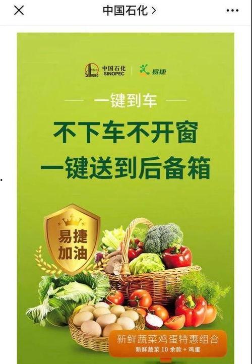 网红正能量 卖菜,菜篮里的正能量网红