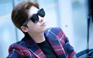 李易峰网红助理,揭秘明星背后的神秘力量