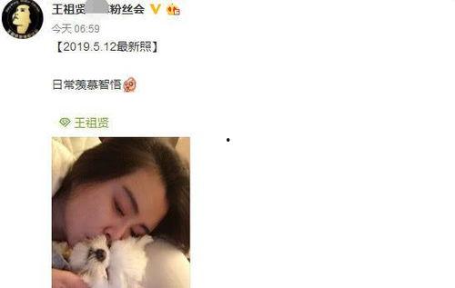 最近生活照是什么意思,我的最近生活照集锦