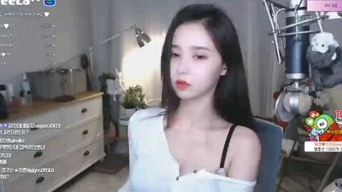 韩国女主播bj玫瑰,魅力四射的直播界新星