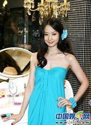 娱乐圈名媛贵女,娱乐圈名媛贵妇们的华丽人生